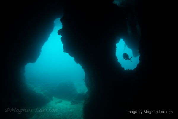 Scuba Diving by Magnus Larsson